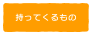 持ってくるもの