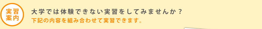 実習案内　大学では体験できない実習をしてみませんか？下記の内容を組み合わせて実習できます。