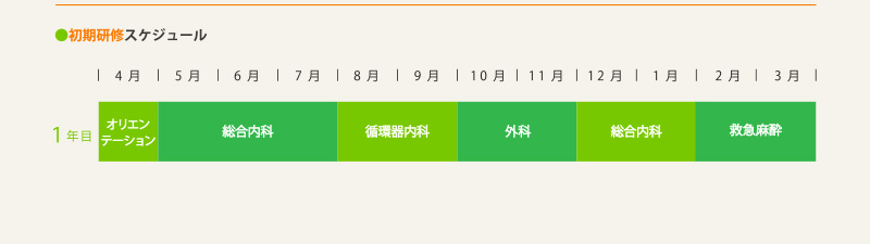 ●初期研修スケジュール