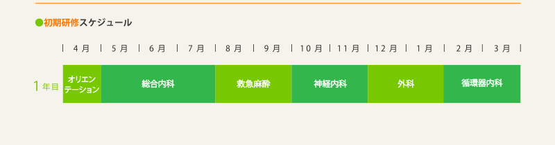 ●初期研修スケジュール